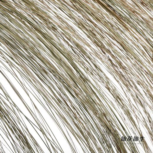 永生花 | 干纹眉草 商品图0