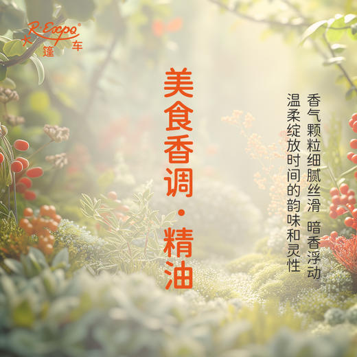 美食香调·精油 植物精油香氛 适用香水 护肤洗护产品 大篷车精油 商品图1
