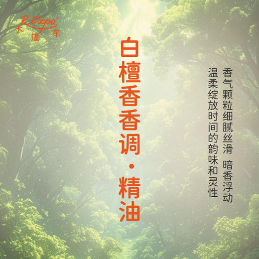 白檀香香调·精油 香氛香调精油植物精油适用香水油 护肤洗护产品 大篷车精油 商品图1