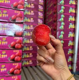 恐龙蛋李子约2.2斤12头装  |水果