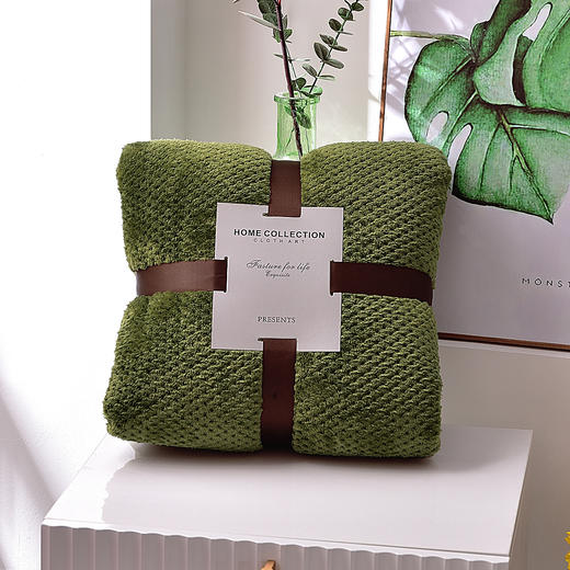 跨境毯子加厚菠萝格毛毯纯色网眼法兰绒毛毯贝贝绒外贸礼品毯批发 商品图1