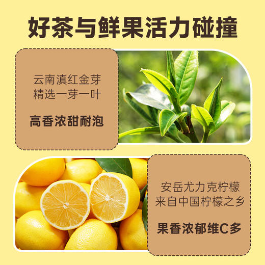 【便携袋泡】澜沧古茶2024年茶妈妈杯装茶-柠檬红茶20g(可定制) 商品图3