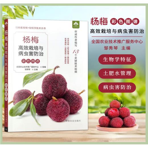 杨梅高效栽培与病虫害防治彩色图谱（扫码看视频?轻松学技术丛书） 商品图0