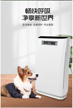 KH004空气净化器 健康负离子感受自然的回馈