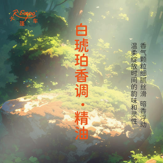 白琥珀香调·精油 植物精油香氛 适用香水 护肤洗护产品 大篷车精油 商品图1