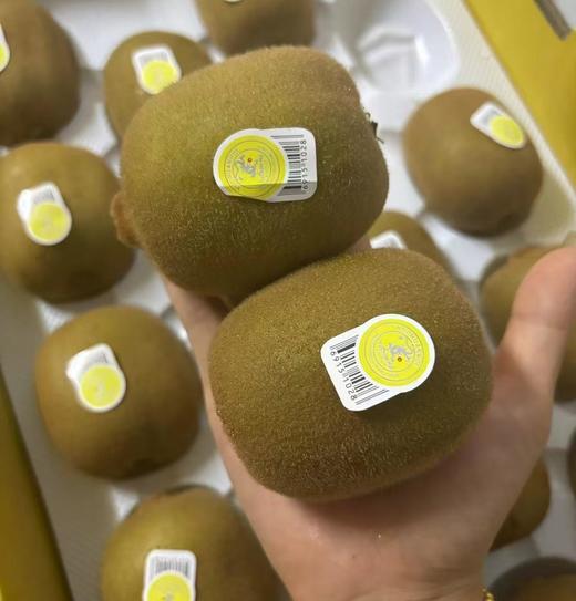 特级奇异果 约5斤18头装 |水果 商品图1