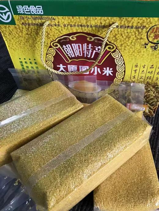 【2025新小米产地直发】真正的朝阳大嘎图小米/朝阳高粱米，被评为“2023年朝阳市名优特农产品品牌”，来自北纬41度世界黄金农作物生产地带，好吃不贵，优质杂粮，全国包邮（偏远地区除外） 商品图4