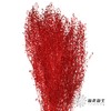 干花 | 小扇叶红色 商品缩略图2