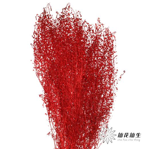 干花 | 小扇叶红色 商品图2