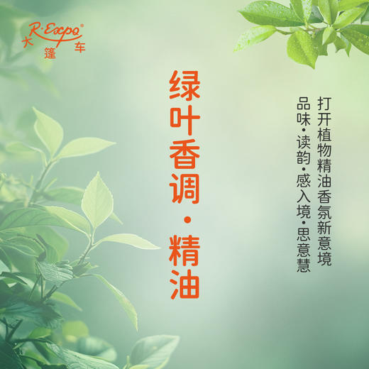 绿叶香调·精油 植物精油 适用香水沙龙 护肤洗护产品 大篷车精油 商品图0