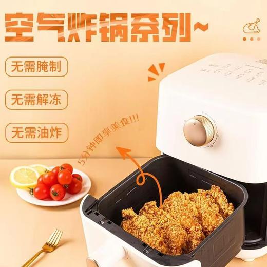 和食乐蒜香鸡排10袋约1100克香鸡扒空气炸锅食材原切鸡胸肉 A 商品图3