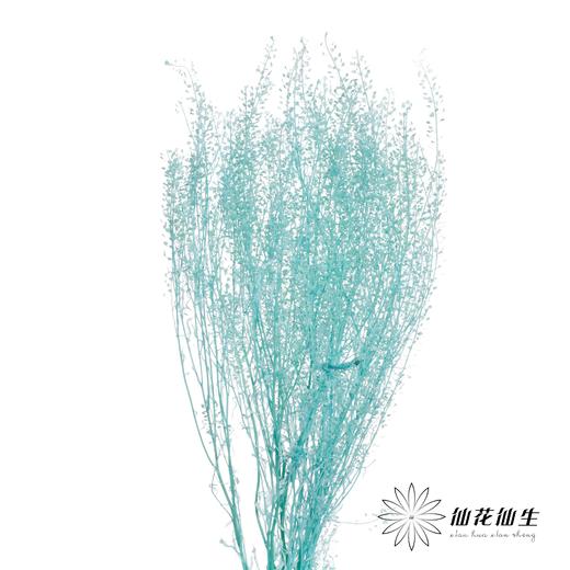 干花 | 小扇叶蒂芙尼蓝 商品图3