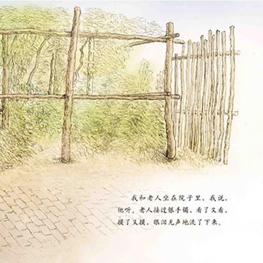 《金羽毛·中国原创绘本·战争中的父与子》（全4册） 商品图11