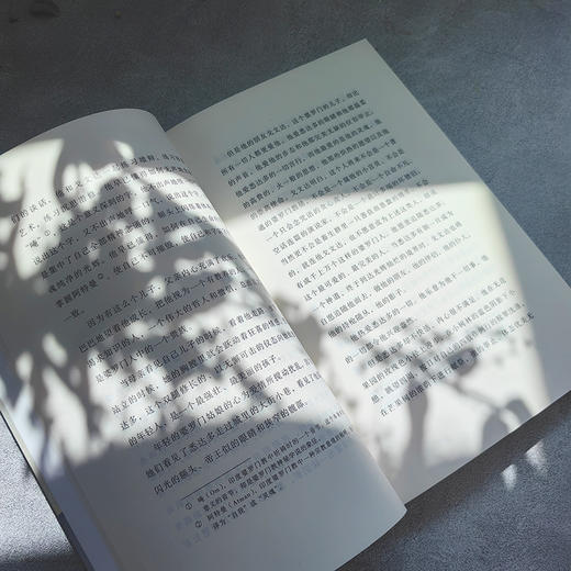 诺贝尔文学奖得主赫尔曼黑塞代表作悉达多 商品图3