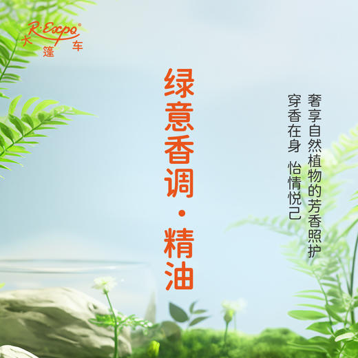 绿意香调·精油 植物精油香氛 适用香水 护肤洗护产品 大篷车精油 商品图2