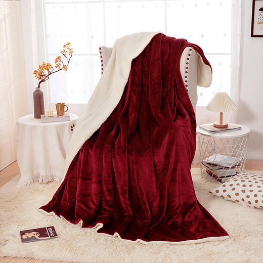 跨境专供亚马逊wish爆款夏尔巴羊羔绒毛毯加厚双层法兰绒毛毯现货 商品图2