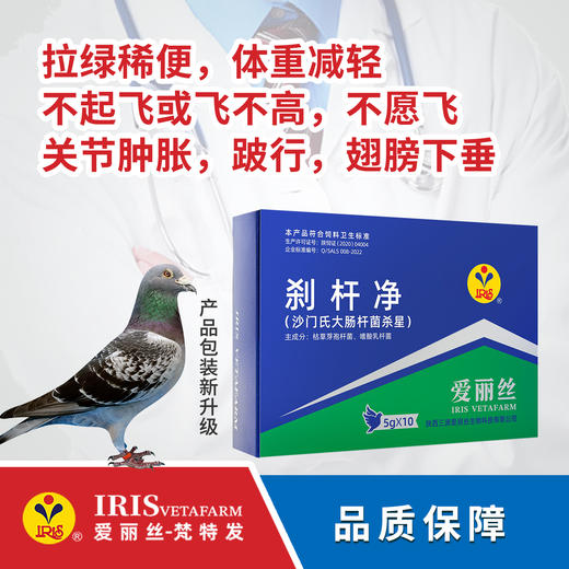 【爱丽丝】刹杆净（粉剂）/胶囊 商品图0