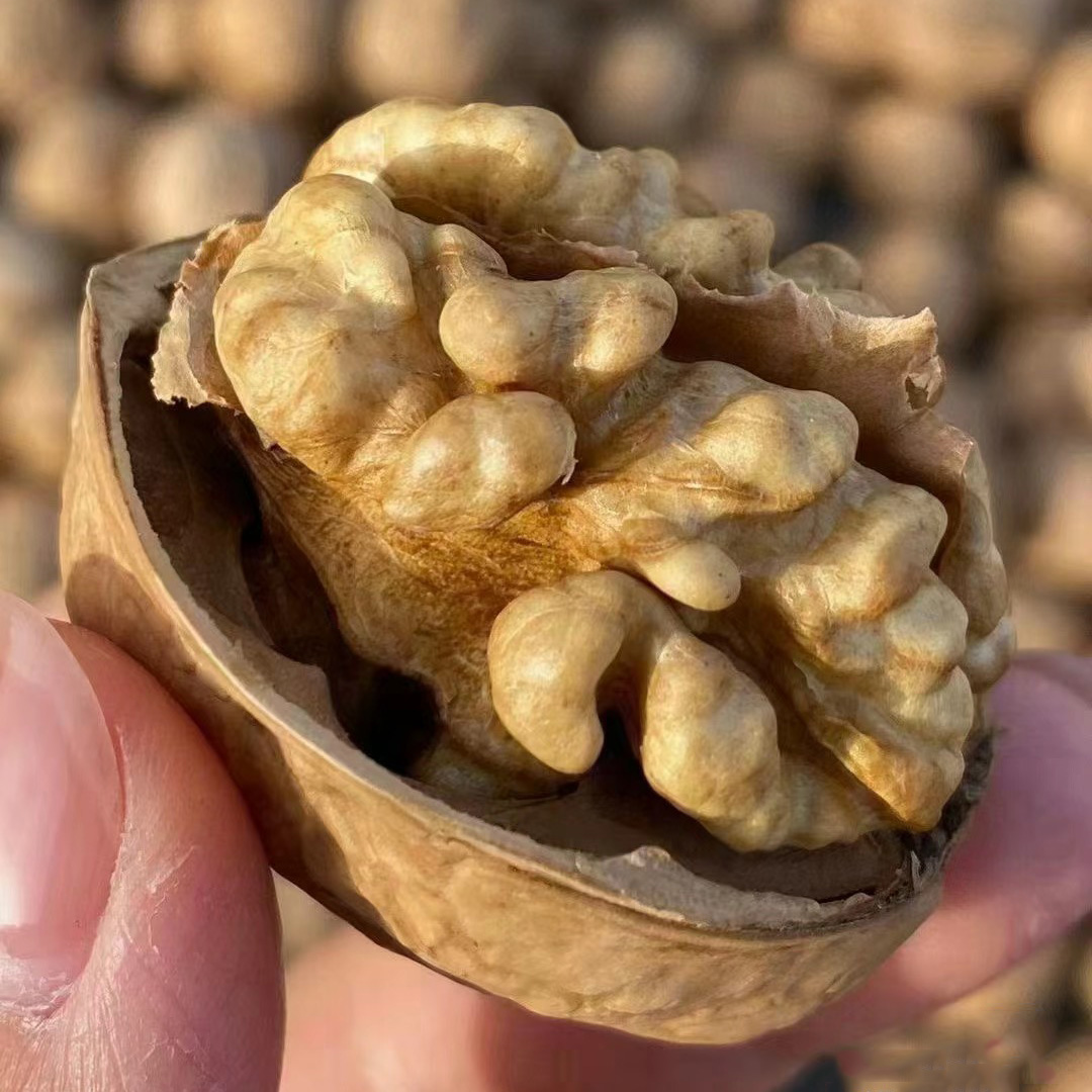 新疆原味185纸皮核桃，颗颗饱满，天然干果香