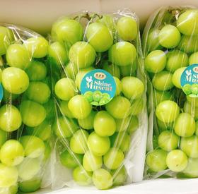 念香缘 香印青提 |水果