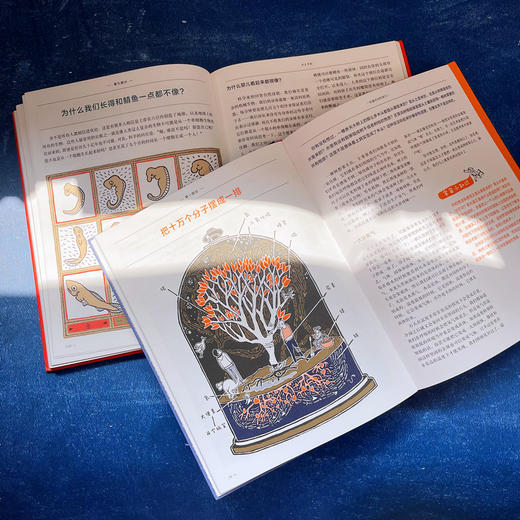 布面精装全彩套装共3册生命的秘密身体的秘密宇宙的秘密 商品图2