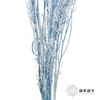 干花 | 小扇叶天蓝 商品缩略图3