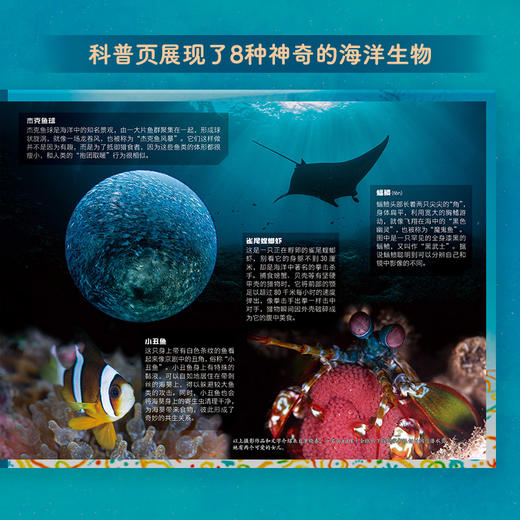 妈妈是个海仙子 商品图1