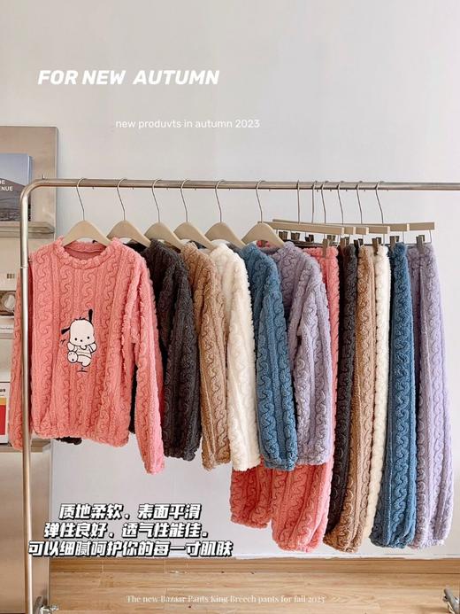 【YW】无忧购“”79元3件秋冬季哈帕狗提花舒棉绒套装加厚保暖卡通可外穿女士家居服（截单后3-5发货) 商品图1