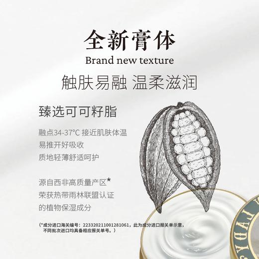 摩登红人熊猫秘境系列可可脂保湿雪花膏礼盒旅游伴手礼物面霜护手霜身体乳茉莉夜来香清竹淡香 商品图4