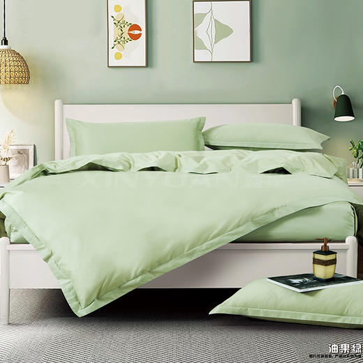 鑫缘 精品全棉斜纹四件套 DMJ2418 商品图3