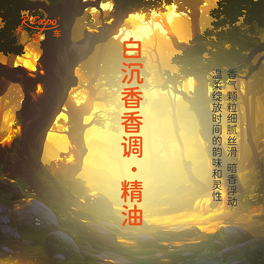白沉香香调·精油植物精油适用香水护肤洗护产品空间香氛 大篷车精油 商品图1