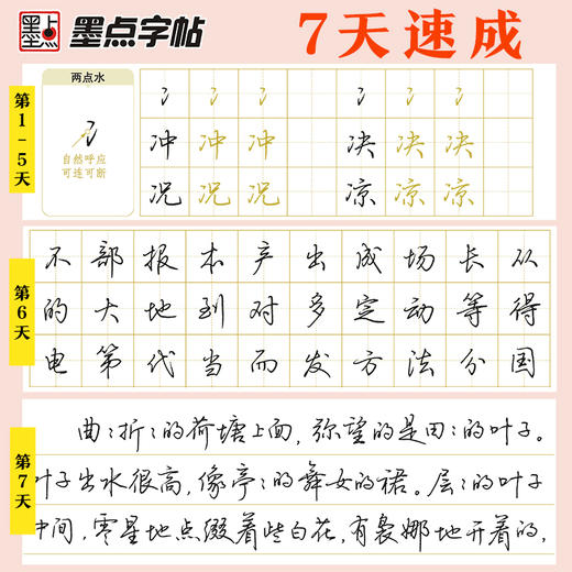 墨点字帖 7天学会 楷书行楷行书仿宋硬笔钢笔字帖成年速成公务员练字帖荆霄鹏 商品图3