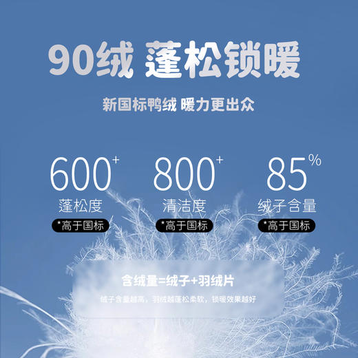 Disney/迪士尼羽绒外套234DS1251 商品图1