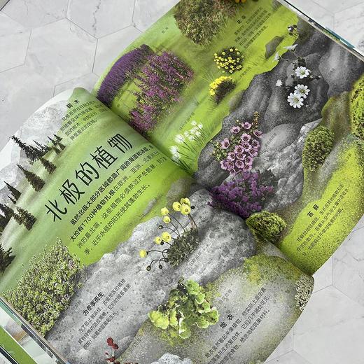 【图书】《DK绝妙的极地百科》 商品图3