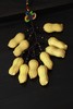 十粒花生串°黄杨挂件 商品缩略图0