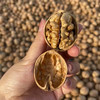 新疆原味185纸皮核桃，颗颗饱满，天然干果香 商品缩略图1