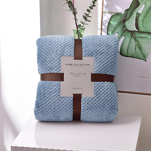 跨境毯子加厚菠萝格毛毯纯色网眼法兰绒毛毯贝贝绒外贸礼品毯批发 商品图3