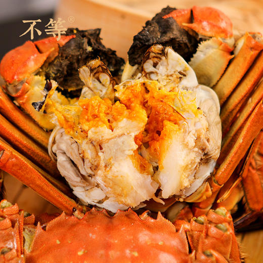 【蟹王】红膏大闸蟹   纸质蟹卡  不等·丰子恺联名 商品图6