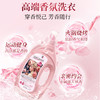 【86元会员福利】蔬果园天然玫瑰精油香氛洗衣液CS版2kg*2桶+蔬果园蓝风铃香水柔软洗衣液500g*2袋    商品缩略图3