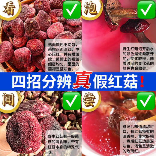 【武夷山红菇】| 元和优选 福建道地产区武夷山正红蓝底大红菇100g/袋 汤色红艳鲜甜 春日养颜补血汤 商品图3