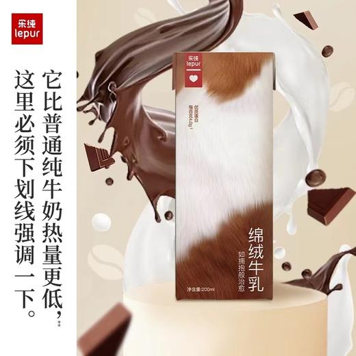 乐纯绵绒牛乳可可巧克力奶成人儿童早餐整箱200ml*10盒 商品图1