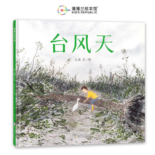 台风天 商品图0