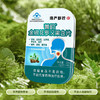 【超值4盒/7盒】慢严舒柠菁韵金银花罗汉果含片14颗/盒 蓝帽认证清咽利嗓 适合咽部不适人群 商品缩略图6