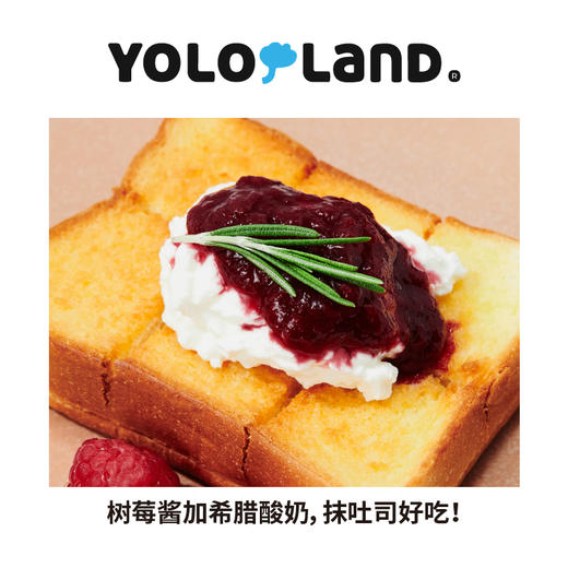 有乐岛 / 纯熬树莓酱 90%果肉含量 150g 商品图3