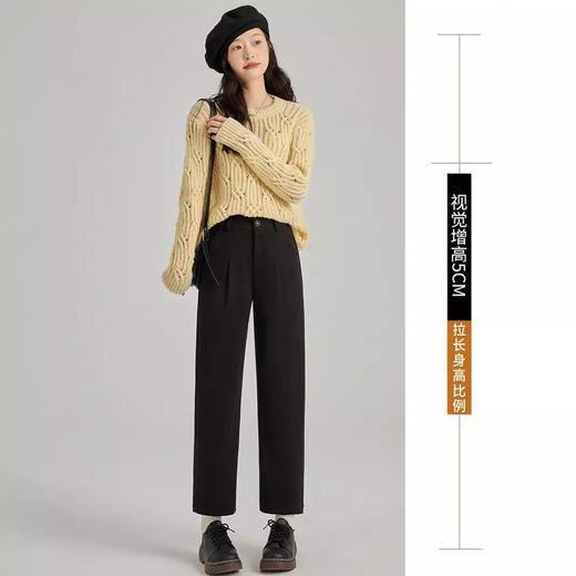 「高质感！秋冬毛呢裤」毛呢裤子女秋冬季2024新款显瘦萝卜奶奶裤宽松直筒加绒休闲哈伦裤下装 商品图2