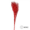 干花 | 小扇叶红色 商品缩略图1