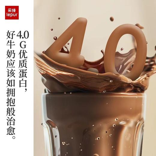 乐纯绵绒牛乳可可巧克力奶成人儿童早餐整箱200ml*10盒 商品图4