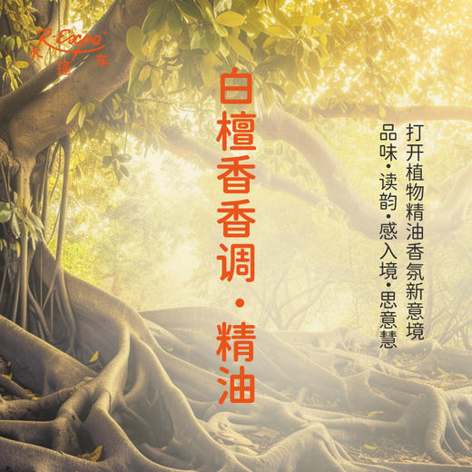 白檀香香调·精油 香氛香调精油植物精油适用香水油 护肤洗护产品 大篷车精油 商品图0