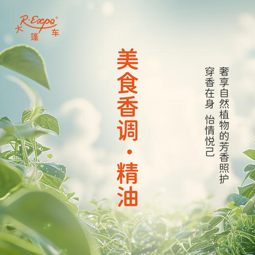 美食香调·精油 植物精油香氛 适用香水 护肤洗护产品 大篷车精油 商品图2