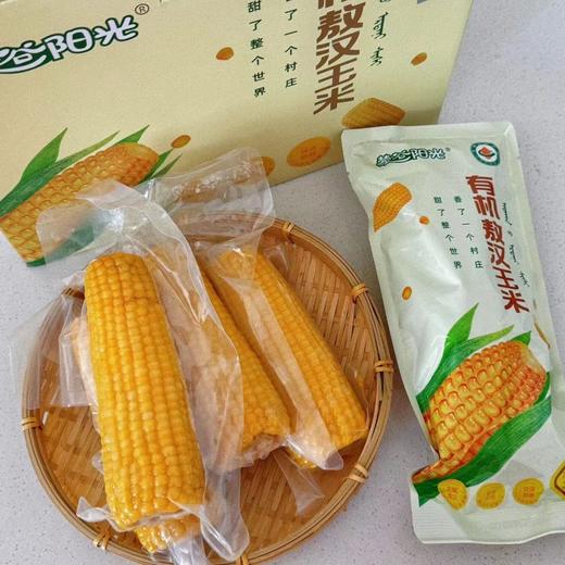 有机敖汉玉米 10穗/箱 商品图2