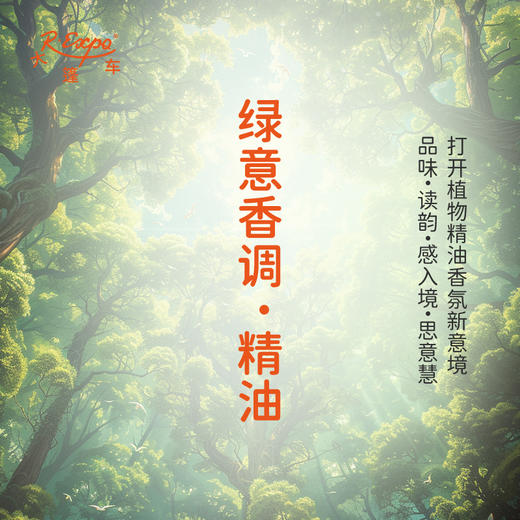 绿意香调·精油 植物精油香氛 适用香水 护肤洗护产品 大篷车精油 商品图0